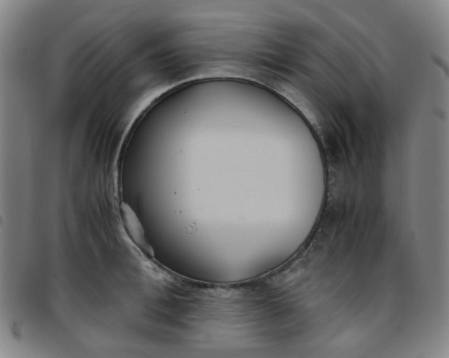 X0000097480996200803071712