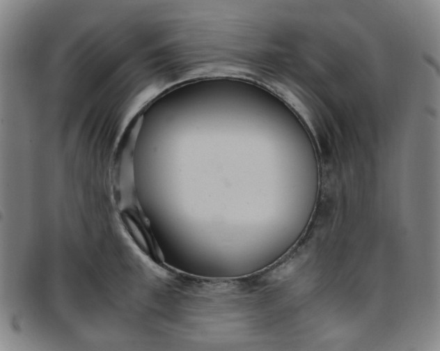 X0000097480997200803071712