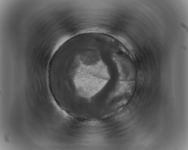 X0000097480998200803071712