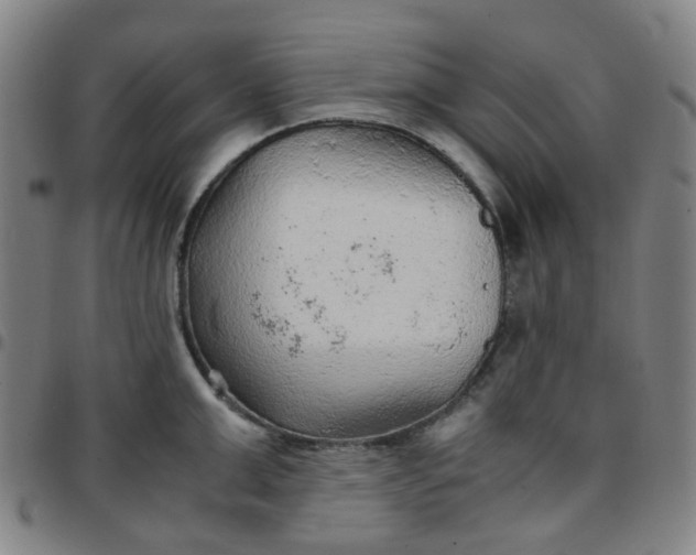 X0000097480999200803071712