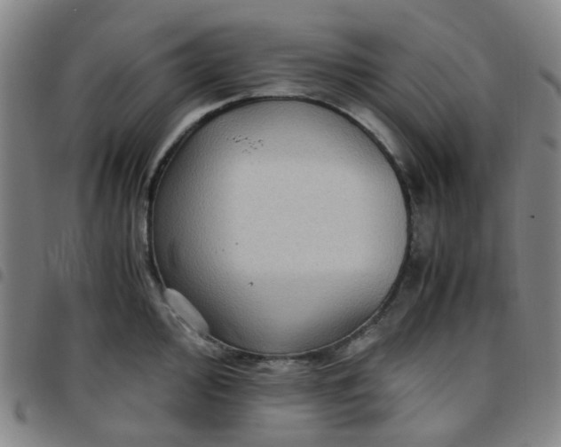 X0000097481000200803071712