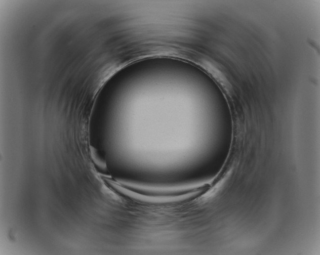 X0000097481001200803071712