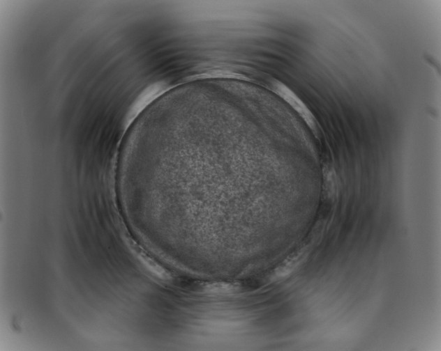 X0000097481002200803071712