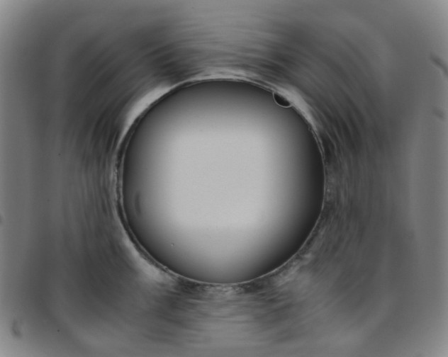 X0000097481003200803071712