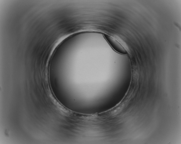 X0000097481004200803071712