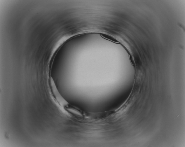 X0000097481005200803071712