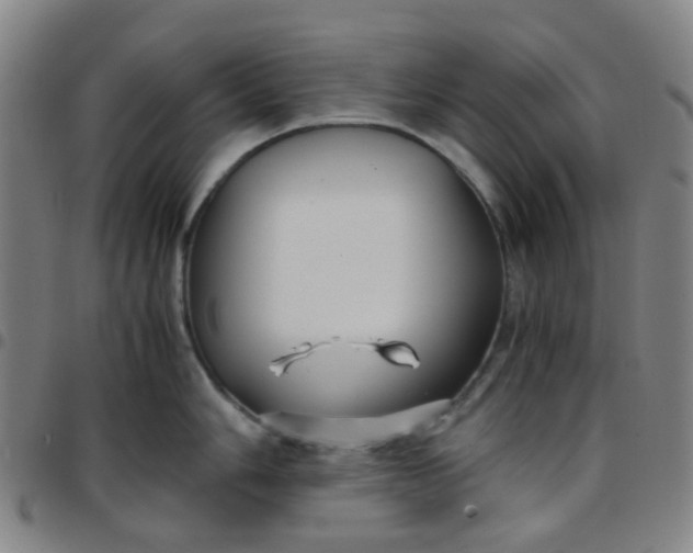 X0000097481006200803071712