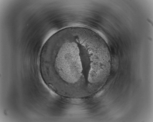 X0000097481007200803071712