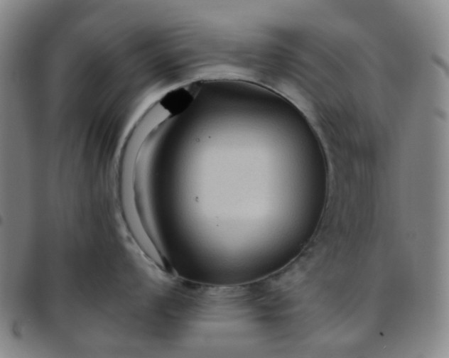 X0000097481008200803071712