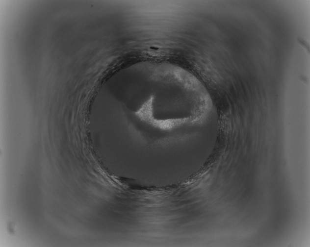 X0000097481009200803071711