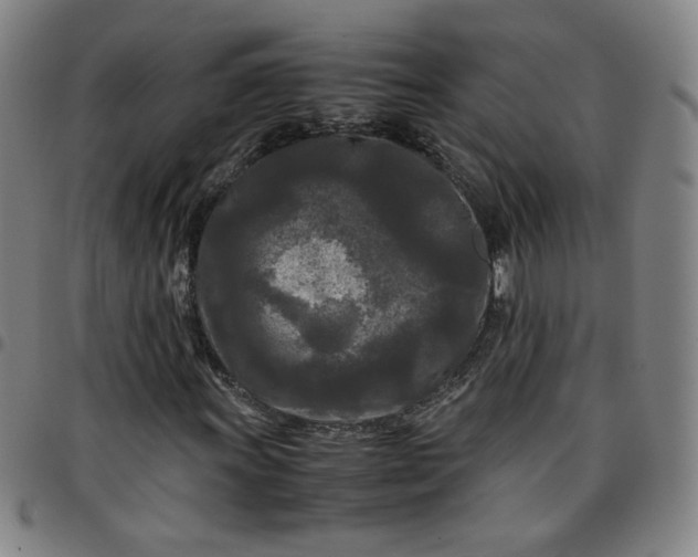 X0000097481011200803071711