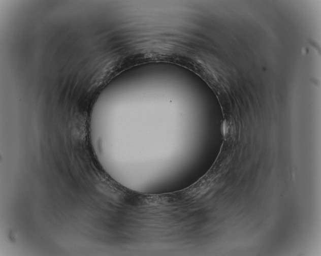 X0000097481012200803071711