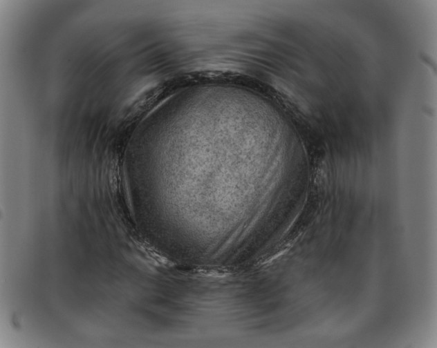 X0000097481014200803071711