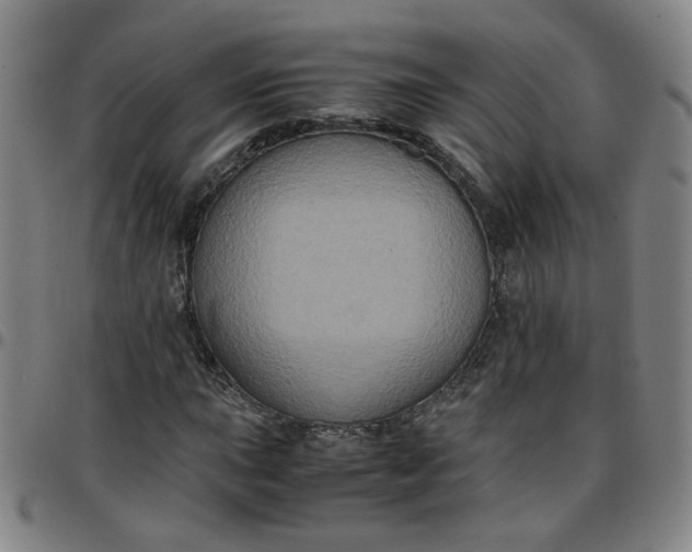 X0000097481015200803071711