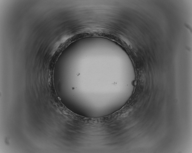 X0000097481016200803071711