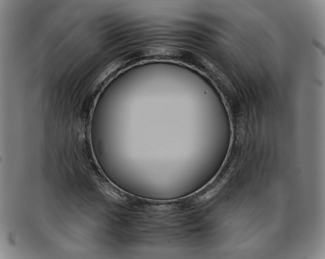 X0000097481017200803071711