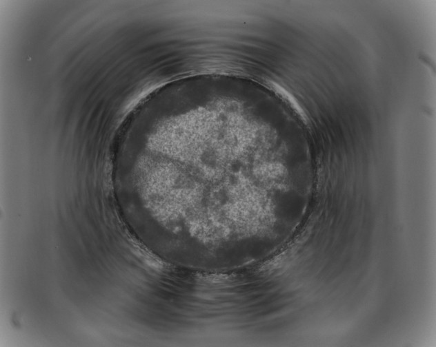 X0000097481019200803071711