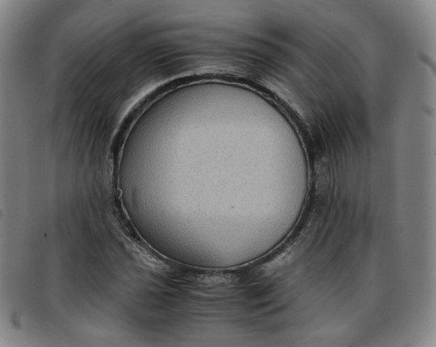 X0000097481021200803071711