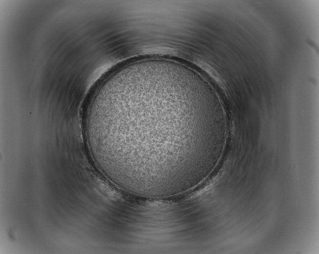 X0000097481022200803071711