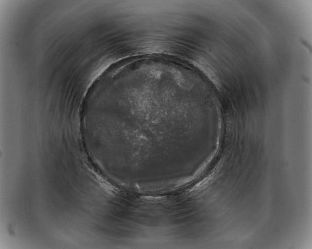 X0000097481023200803071711