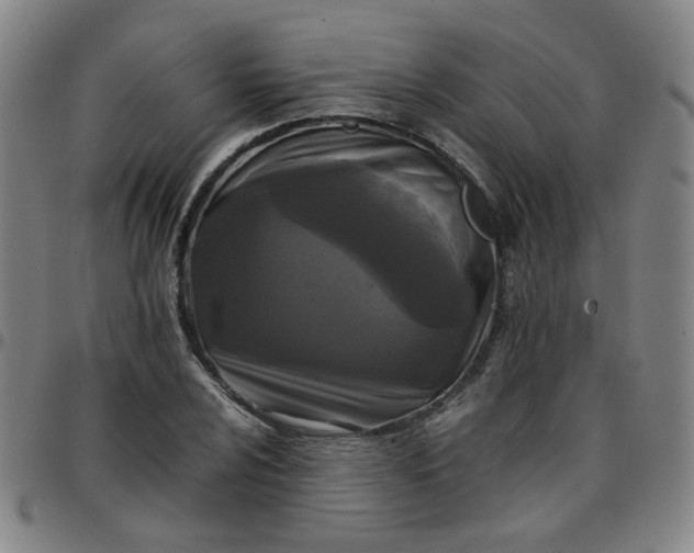 X0000097481024200803071711