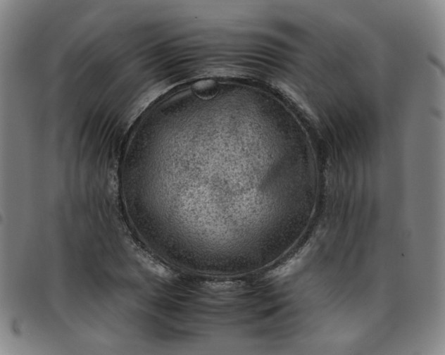 X0000097481025200803071711