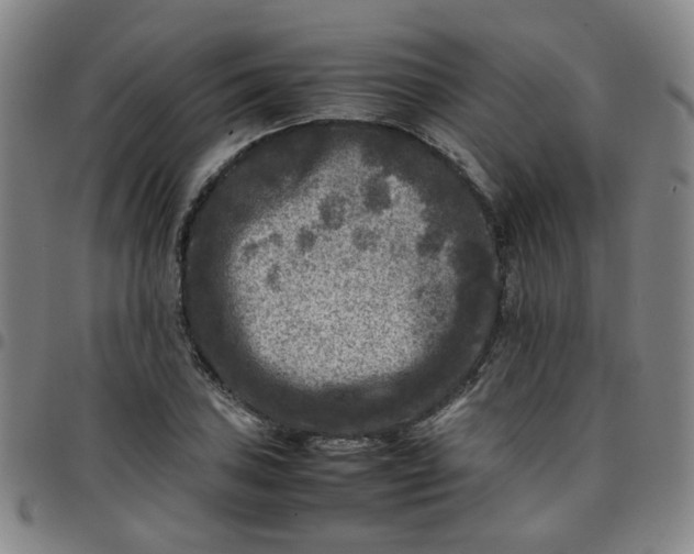 X0000097481027200803071712