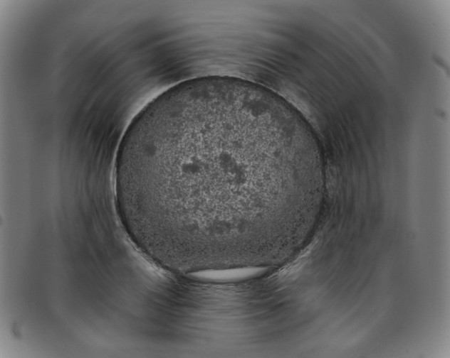 X0000097481028200803071712