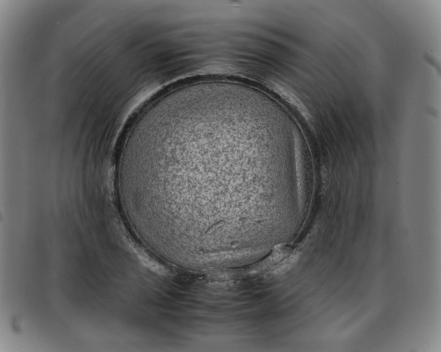 X0000097481029200803071712