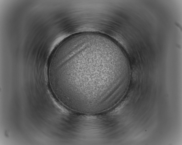 X0000097481030200803071712