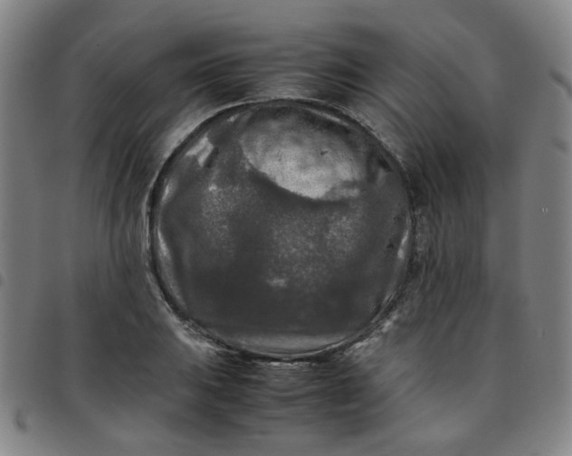 X0000097481031200803071712