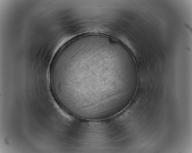 X0000097481032200803071712