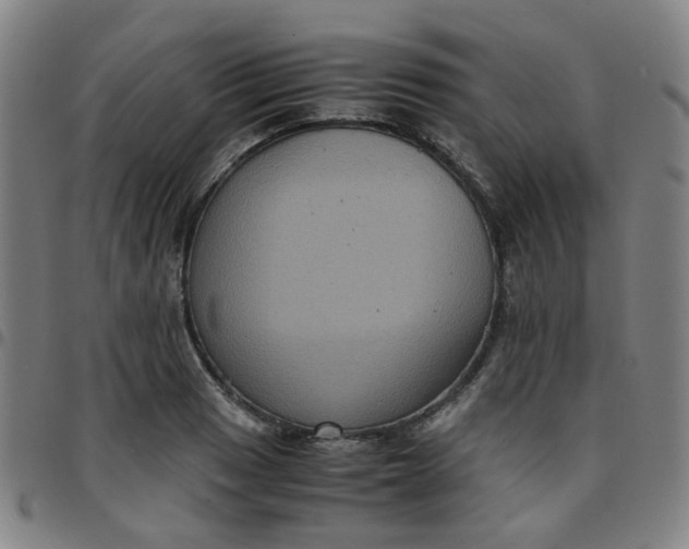 X0000097481033200803071712