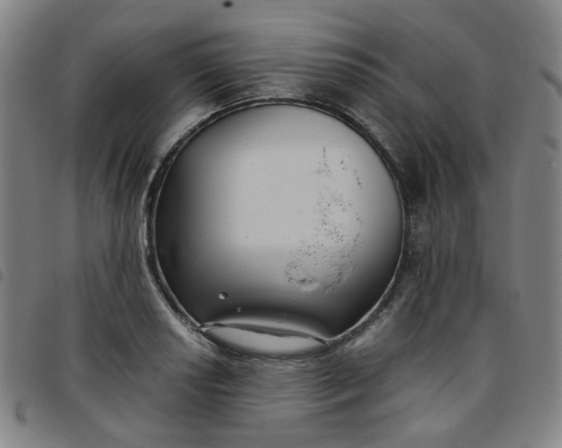 X0000097481034200803071712