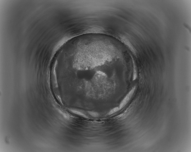 X0000097481035200803071712