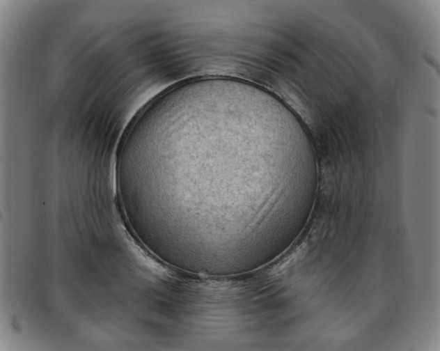 X0000097481036200803071712