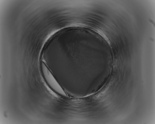 X0000097481037200803071712