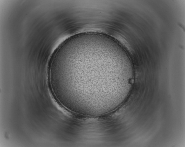 X0000097481038200803071712