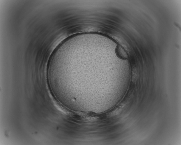 X0000097481039200803071712