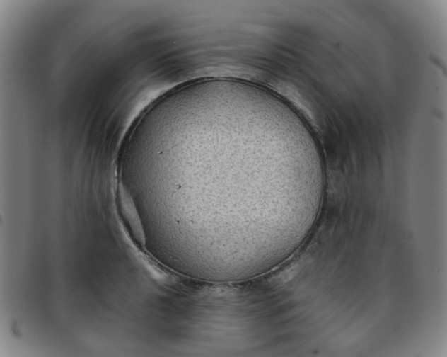 X0000097481040200803071712