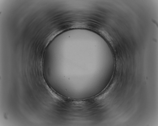 X0000097481041200803071712