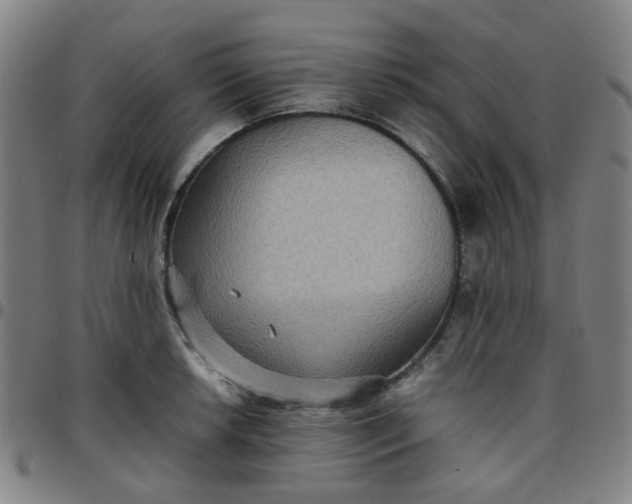 X0000097481042200803071712