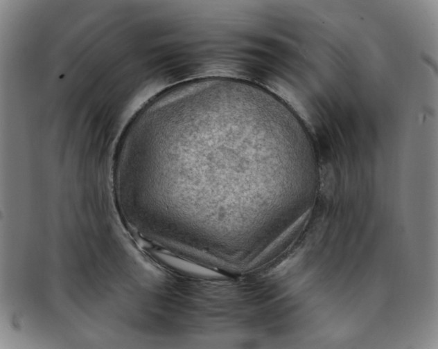 X0000097481043200803071712