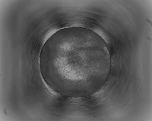 X0000097481047200803071712