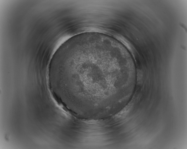 X0000097481048200803071712