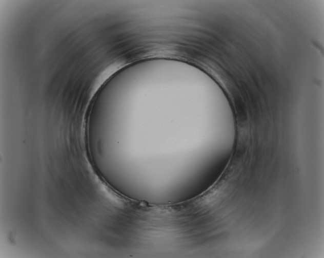 X0000097481050200803071712