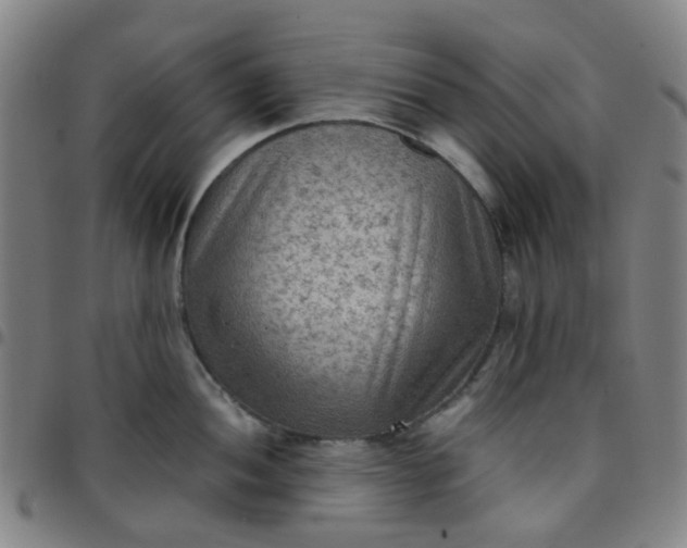 X0000097481052200803071712