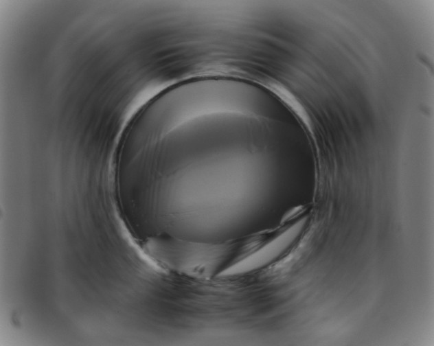 X0000097481053200803071712