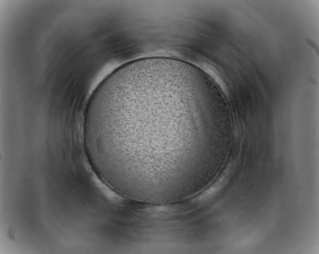 X0000097481054200803071712