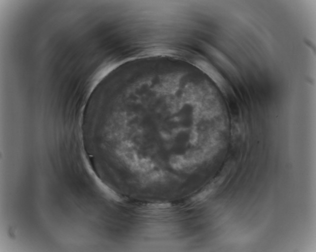 X0000097481055200803071712